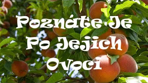 Které ovoce mají učedníci?