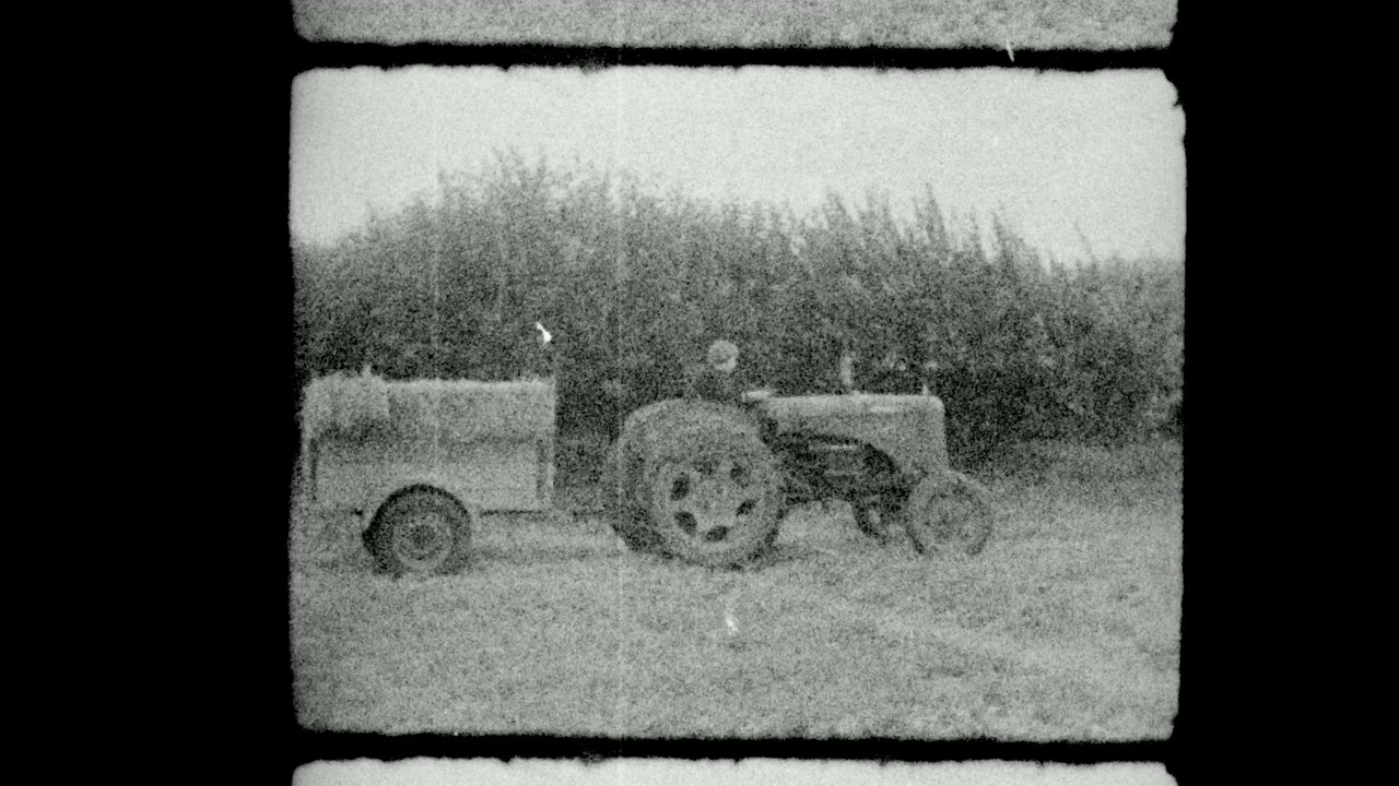 Random Home Movie 2 - 40+ year old undeveloped film found in a Movikon ...