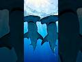 Girl in Red Saree vs Hammerhead Sharks 🌊🦈 | Cinematic Sea VFX #vfxeditor #vfxshowreel