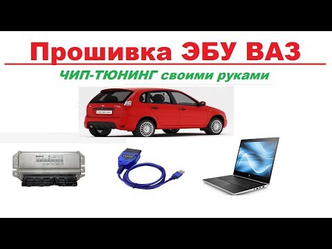 Прошивка ЭБУ Ваз своими руками/ Чип тюнинг Калина 1.4/Bosh 7.9.7+