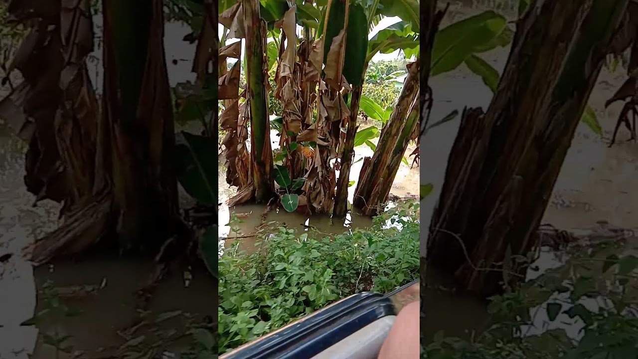 Banjir - YouTube