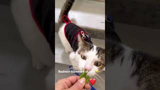 Eve Gitmeden Bitirme Derdine Düştü Diğerleride Yiyecek Diye.. Şfet