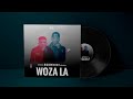 Buddynice - Woza La (Redemial Mix)
