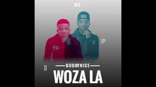 Buddynice - Woza La (Redemial Mix)