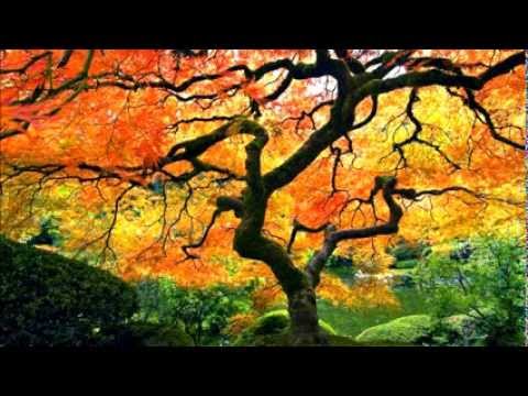 Dani Torres sings  Autumn Leaves