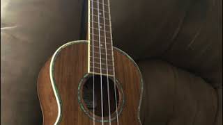 Video thumbnail of "Missing You (Ukulele Podcast Mic Cover)"