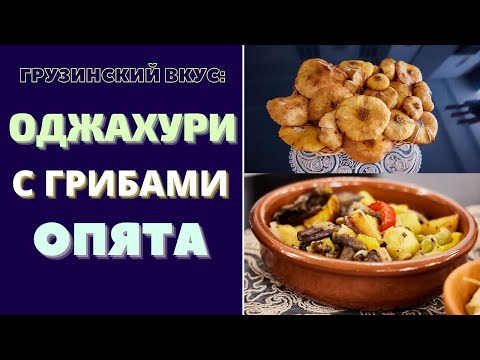 ОДЖАХУРИ С ГРИБАМИ ОПЯТА: ГРУЗИНСКОЕ БЛЮДО НЕОРДИНАРНО ВКУСНО И КРАСИВО! ოჯახური Ojakhuri