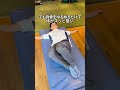 【膝痛ケア】実は“背骨”を動かすだけでラクになる！