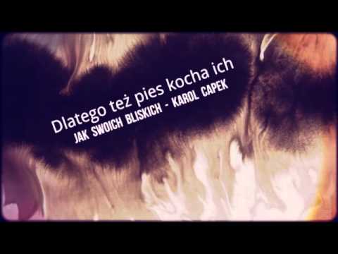 Luna Hotel I Fryzjer Dla Psów Toruń łubianka Youtube