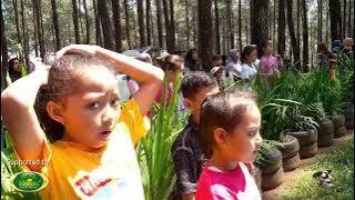 HARMONI CINTA - Gita Gutawa - Annual Concert 2022 Shining Star Music School Tegal