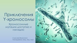 Приключения Y хромосомы: Хромосомные мутации наглядно и доступно