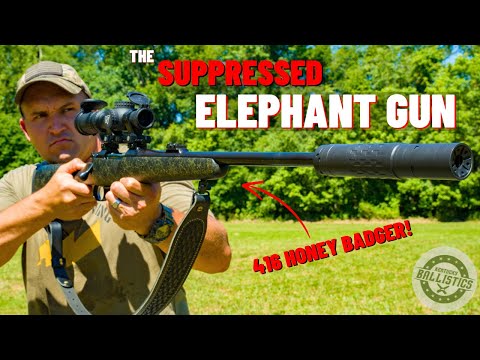 The Suppressed Elephant Gun (The Ultimate Safari Rifle ???)