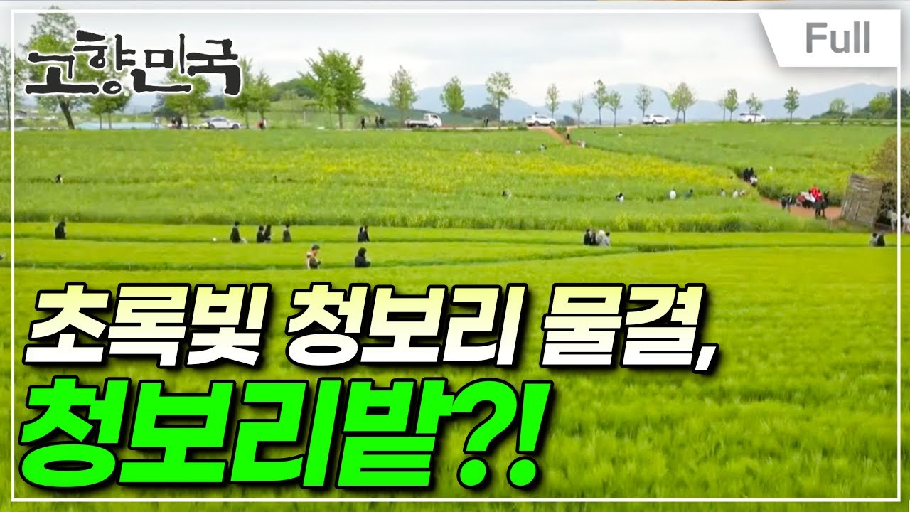 [Full] 고향민국 - 고창, 풍요의 땅