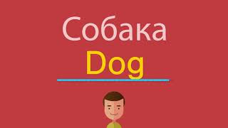 Собака по-английски Собака по-английски
