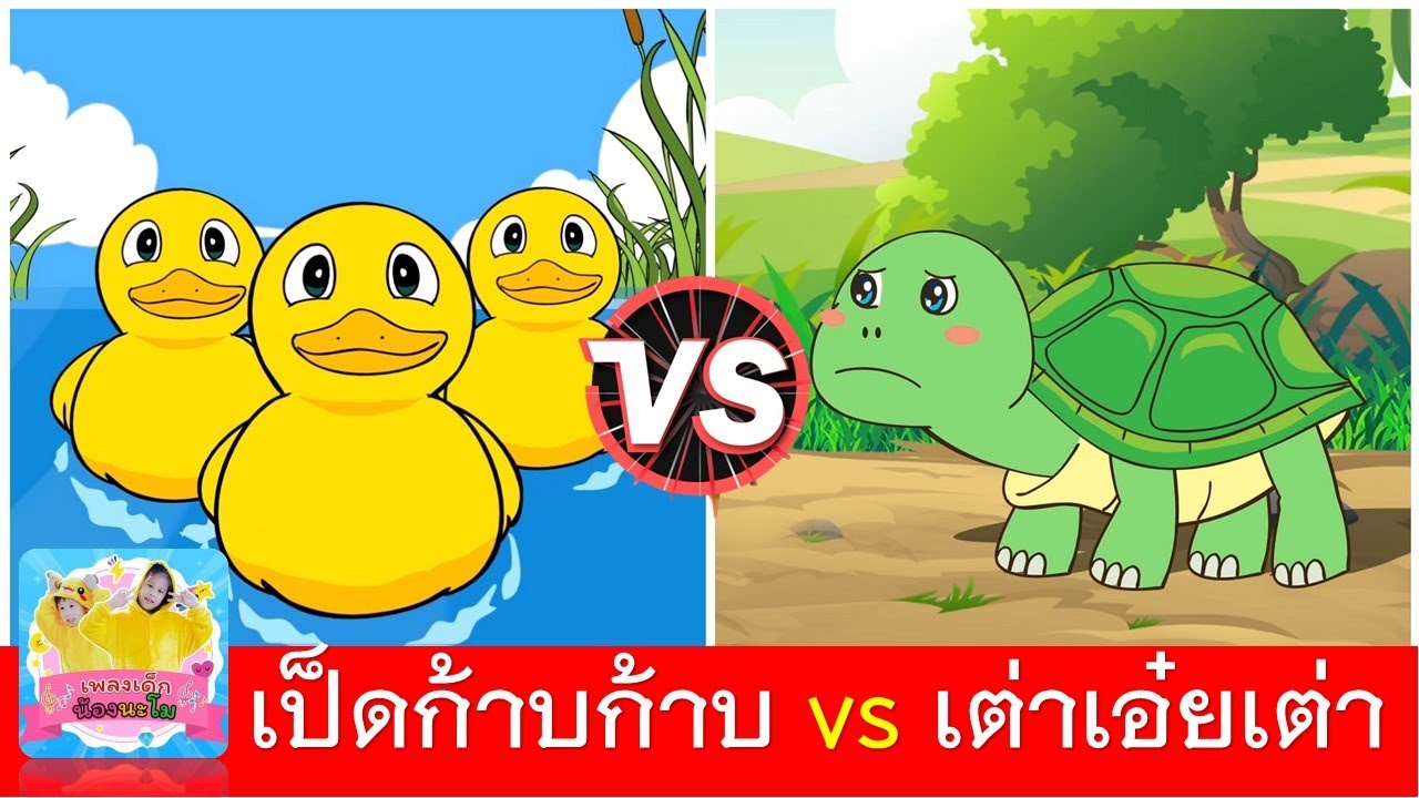 เป็ดก้าบก้าบ vs เต่าเอ๋ยเต่า | เป็ดอาบน้ำในคลอง | เต่าต้วมเตี้ยม