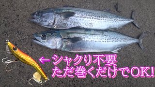 【語呂悪し】冬の堤防でライトショアメタルマルして来た。