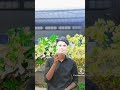 Rohingya video #subscribe #views #rohingya