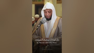 قل انظروا ماذا في السماوات والأرض وما تغني الآيات والنذر عن قوم لا يؤمنون (١٠١)
