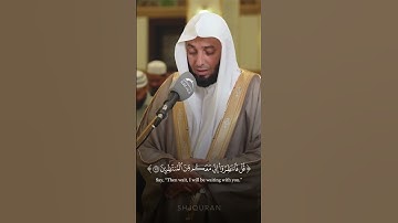 قل انظروا ماذا في السماوات والأرض وما تغني الآيات والنذر عن قوم لا يؤمنون (١٠١)