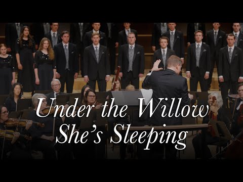 Under the Willow