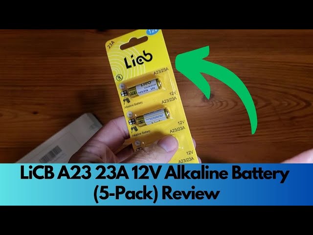 LiCB 10 Stück 23A 12V Alkaline Batterie