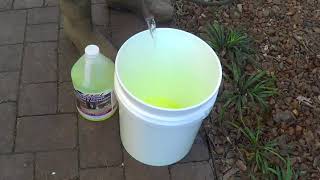 GLOSS COAT