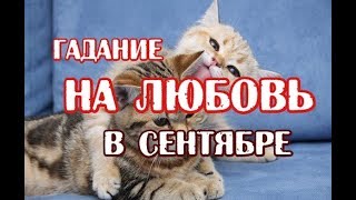 видео Гадание на любовь и отношения