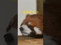 （オリジナル曲）仕事ダルい