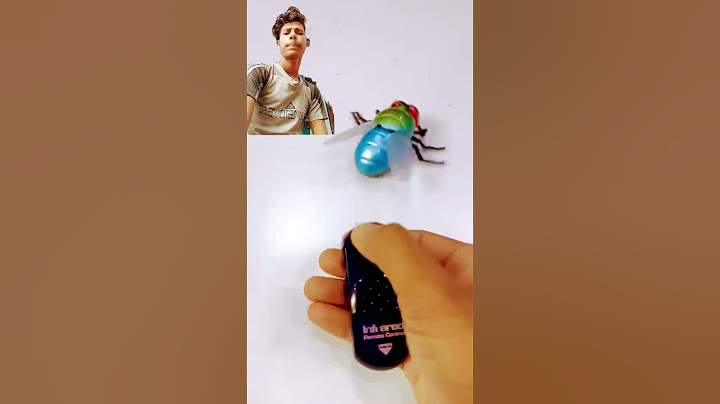 BRAWL ATHLETIX Infrared Remote Control Simulation Housefly #rcanimal