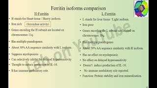 Ferritin isoform comparison ...