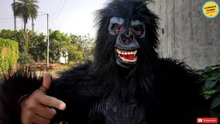 Dog playing with Fake gorilla So Much Fun | Gorilla Compilation | Gorilla Comedy | Try Not To Laugh