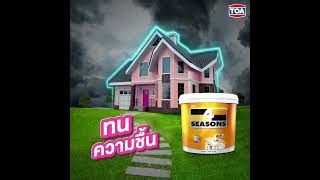 สทนไดจรงไมจกตา L สทนได สโฟรซซนส