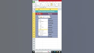 How Custom Sort Work in MS Excel - MS Excel Tips, Tricks and Tutorials #shorts