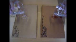Ichikawa Chemical Treatment on Press Felts