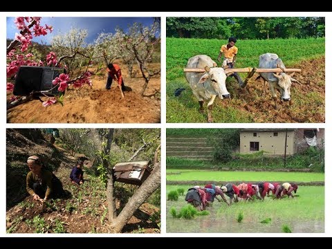 वीडियो: एक कार्यात्मक उद्यान की योजना बनाना