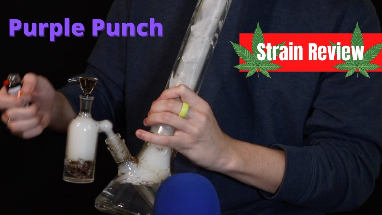 HONEST SRAIN REVIEW: Smoking Purple Punch from the Bong