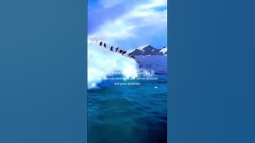 عينا فيها تسمى سلسبيلا | محمد اللحيدان | قران كريم | سورة الانسان | تلاوة خاشعة