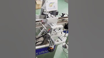 chubby gorilla bottle labeling machine丨Automatic round bottle sticker labeller