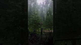 Yağmur Sesi uyumak orman #asmr #nature #rain #rahatlama #yağmursesi