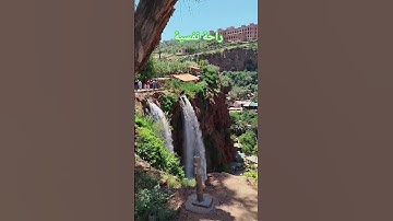 #egzonibrahimi #سورة_الإخلاص #ikhlas #live #اكسبلور #تصويري #المغرب #تيك_توك #لايك #راحة_نفسية