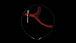 Radau Deluxe - Silent Rise Original Mix