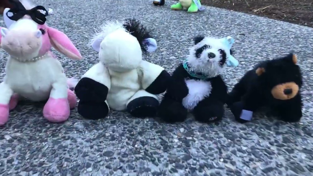 Backflip - Webkinz MV *OLD VIDEO* || TanoKinz