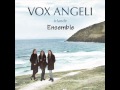 Vox Angeli - Irlande - Ensemble