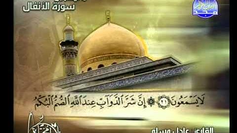 ما تيسر من سورة الانفال ــ ياسر سلامة