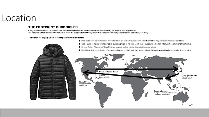 Kelli McGee Patagonia Infographic