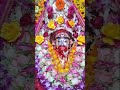 #tarapith #love #maashakti#bhakti#song #shyam #devi