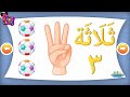 Learn Numbers In Arabic For Kids 1 20 تعليم الأرقام العربية للأطفال ١ ٢٠ 