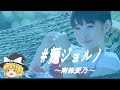 【南條愛乃ヒストリー】すぐに詳しくなる動画