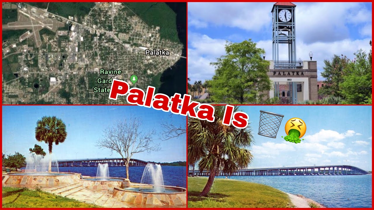 THE TRUTH ABOUT PALATKA‼️‼️ YouTube