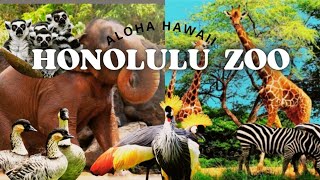 Exploring the HONOLULU ZOO in HAWAII | TRAVEL HAWAII 2021 | KID-FRIENDLY #travel #hawaii #zoo #kids